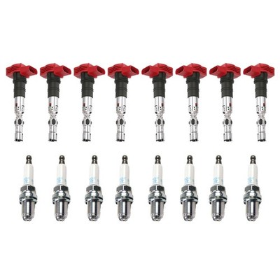 Eldor 8 Ignition Coils NGK Standard Spark Plugs Kit for Touareg Phaeton 4.2L V8