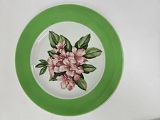 Greenbrier Resort Hotel Mayer C&O Railroad Dorothy Draper 9.5" Dinner China