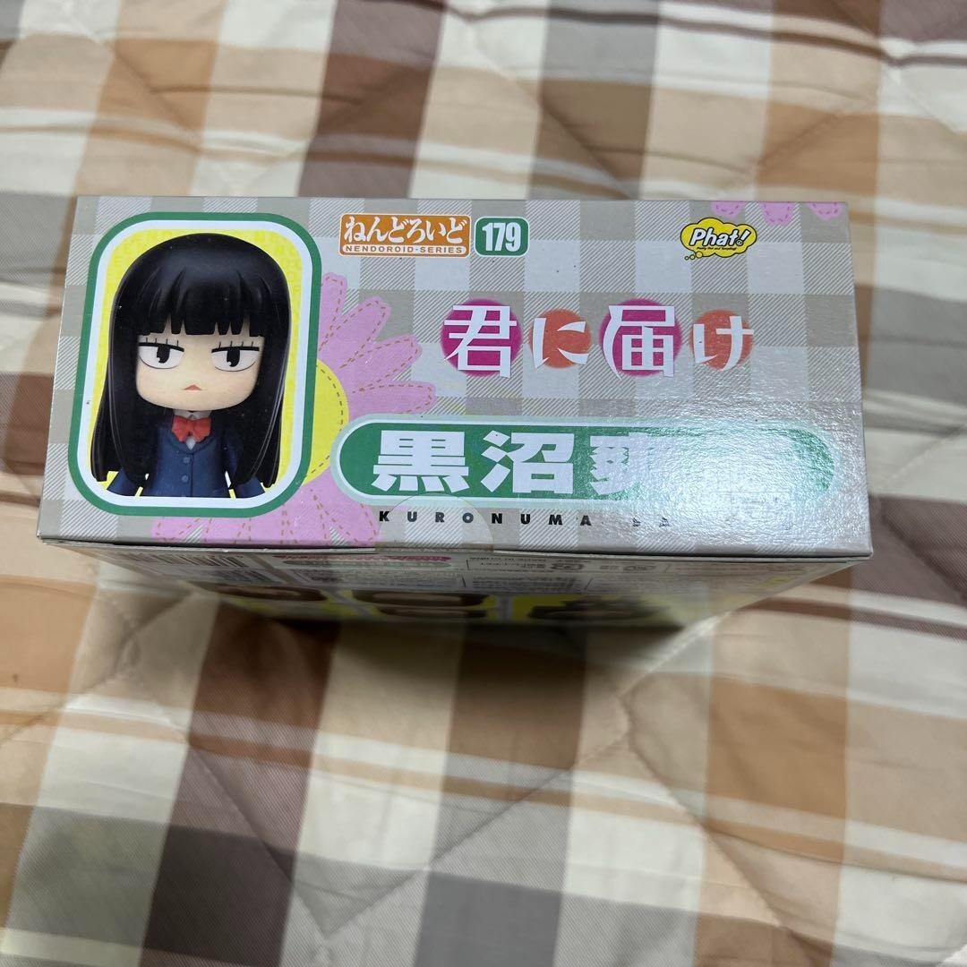 Nendoroid Kuronuma Sawako Kimi ni Todoke Action Figure Phat