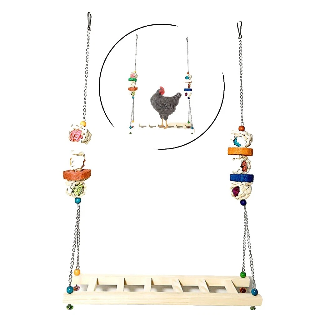 Suministros para Aves de Corral Patio Columpio de pollo