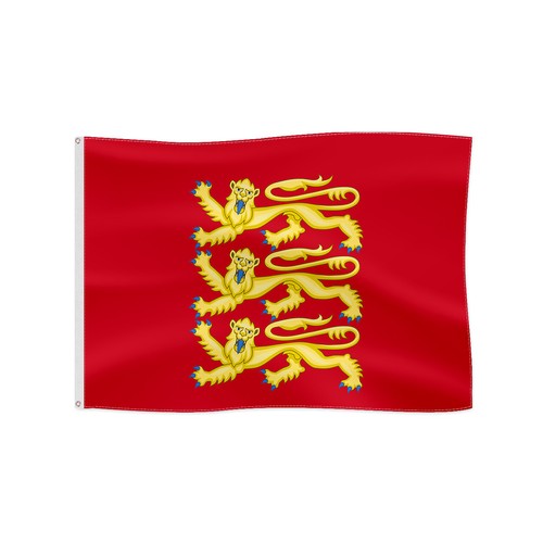 Medieval Coat of Arms Flag for Outdoor Fun Historical Flag - Picture 14 of 27