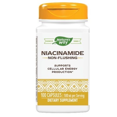 Niacinamide 100 Caps 500 mg by Nature's Way