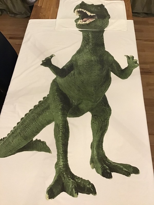 Kids' Twin Size Dinosaur Duvet With Matching Sham