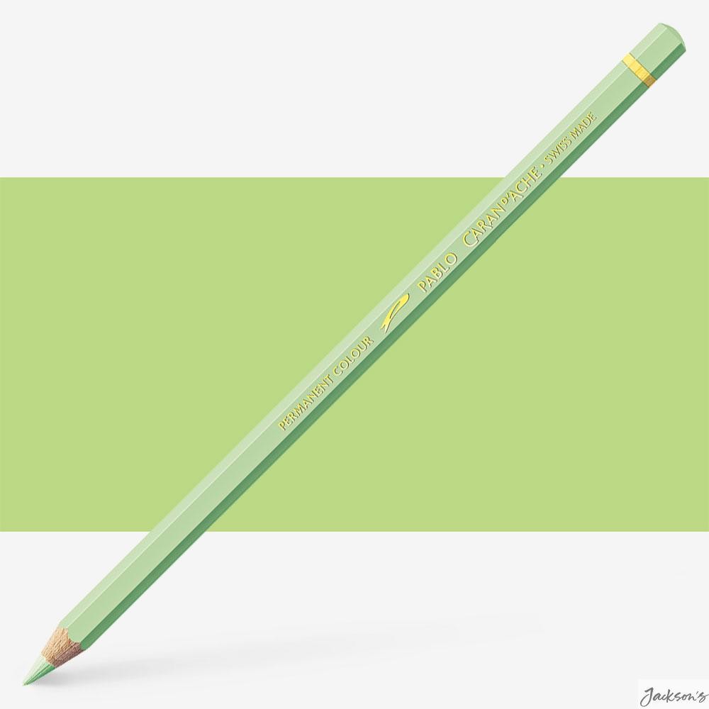 Caran d'Ache Pablo Coloured Pencil Cedarwood Light Green 221 For Drawing