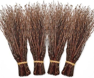 200pcs Birch Twigs 100% Natural Birch Branches for Decorating DIY Crafts Flow...