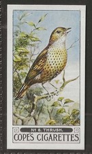 COPE COPES-SONG BIRDS 1926 (GREY CARD)-#06- THRUSH