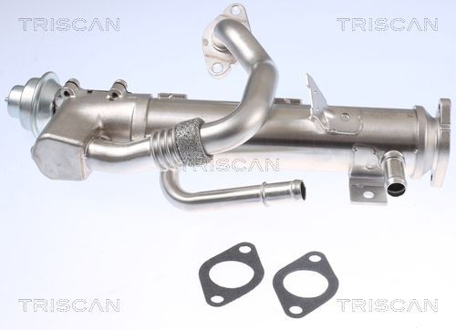 Triscan KüHler, AbgasrüCkfüHrung 8813 29329 FüR Audi Seat-image