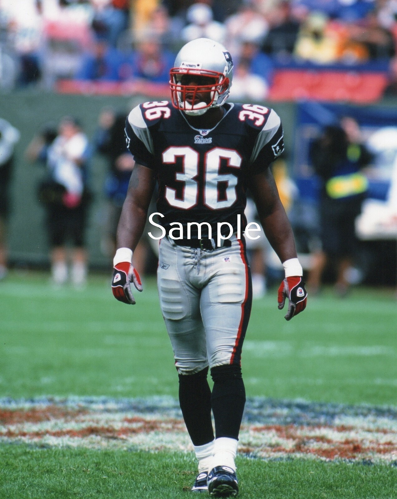Lawyer Milloy New England Patriots Football Photo Poster Print LM1 eBay