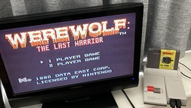 NES ~ WEREWOLF The Last Warrior ~ Nintendo NES-W8-AUS Game Cart Only Pal A