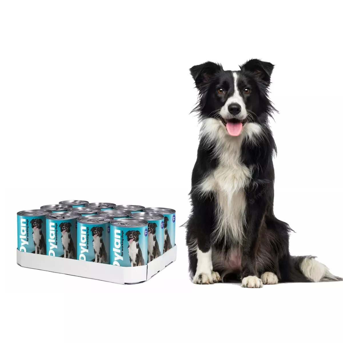 Dylan working hotsell dog food