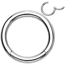 3pc Hinged Seamless Segment Ring Surgical Steel Nose Hoop Earring Septum