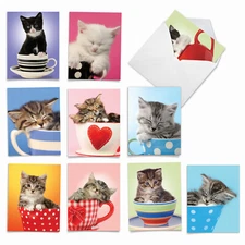 10  All Occasion Blank Cards Assortment - CUP-CATS M3969