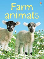 Farm Animals | Katie Daynes | Englisch | Buch | Usborne Publishing | Gebunden