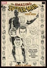 Amazing Spider-Man By Steve Ditko Artists Edition Hardcover DM Exclusive Web Cov