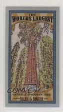 2021 Topps Allen & Ginter Chrome Mini World's Largest General Sherman Tree 4z8