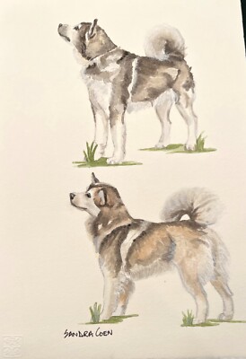 Alaskan Malamute Original Watercolor by Sandra Coen Pair Standing