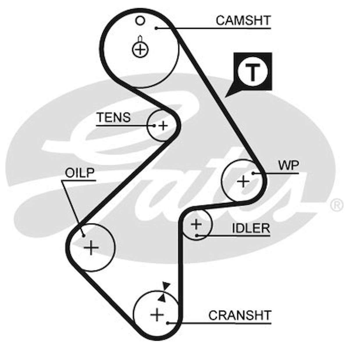 For Toyota Camry 2.0 ZX Genuine Gates Timing Cam Belt | eBay UK