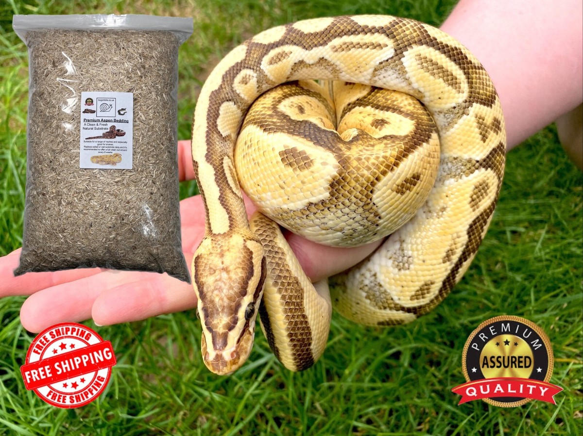 Bugznbits Aspen Bedding Premium Grade Great for Snakes Retiles