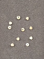Rivarossi 3816 10 Isolatori per congiunzione della catenaria Scala H0