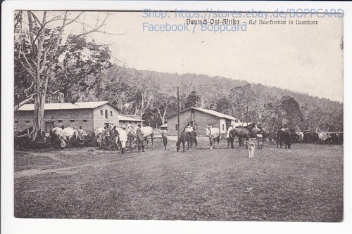 KOLONIEN AFRIKA , DOA , USAMBARA , AUF NEU- HORNOW , TANSANIA , ca1910