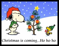 Christmas Is Coming Ho Ho Ho  Snoopy Woodstock Refrigerator Fridge MAGNET