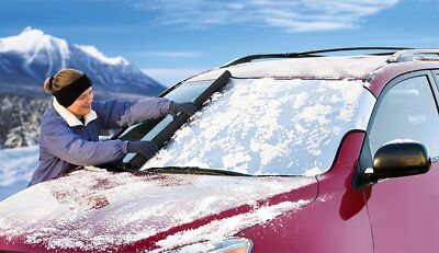 Custom Fit Snow Shield for 1984-1993 Dodge Daytona