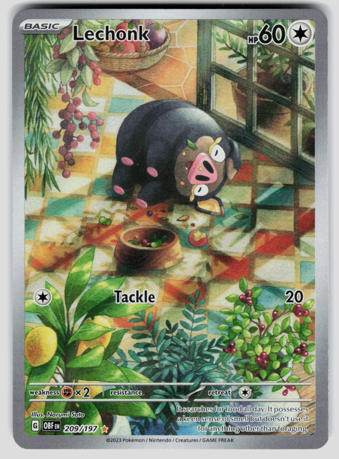Pokemon SV03: Obsidian Flames Lechonk 209/197 Holo Illustration Rare NM