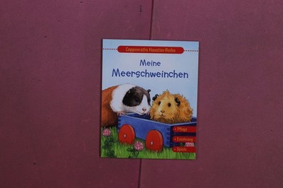 375847 Holger Haag MEINE MEERSCHWEINCHEN Coppenrath Verlag