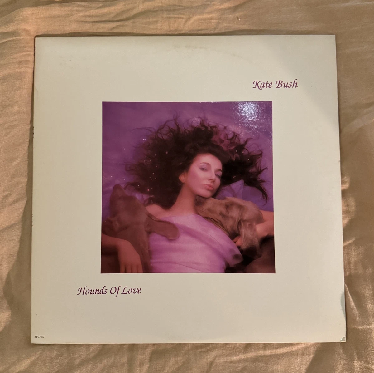 25+ Kate Bush Vinyl Records for sale | Updated Oct 2026