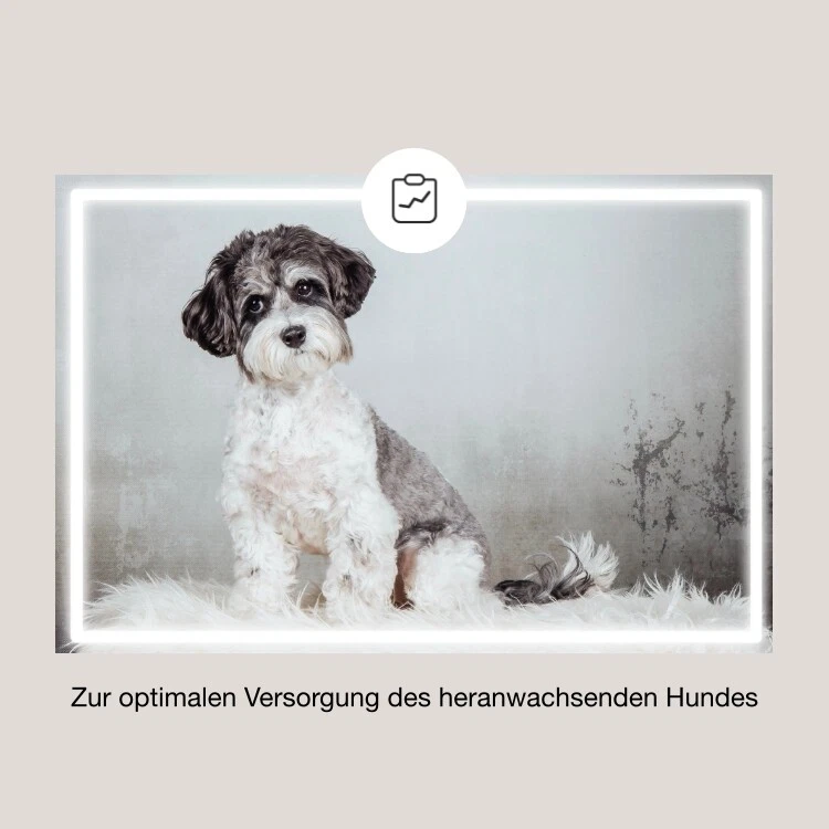 CaniMove breed (100 Sticks) zur Unterstützung von Wachstum und Gelenkversorgung - Bild 2 von 4
