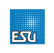 ESU LokSound 5 8PIN Decoder with a STEAM LOCO sound of your choice.