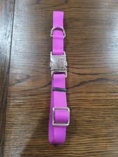 Coastal Large Dog Collar Purple Nwot