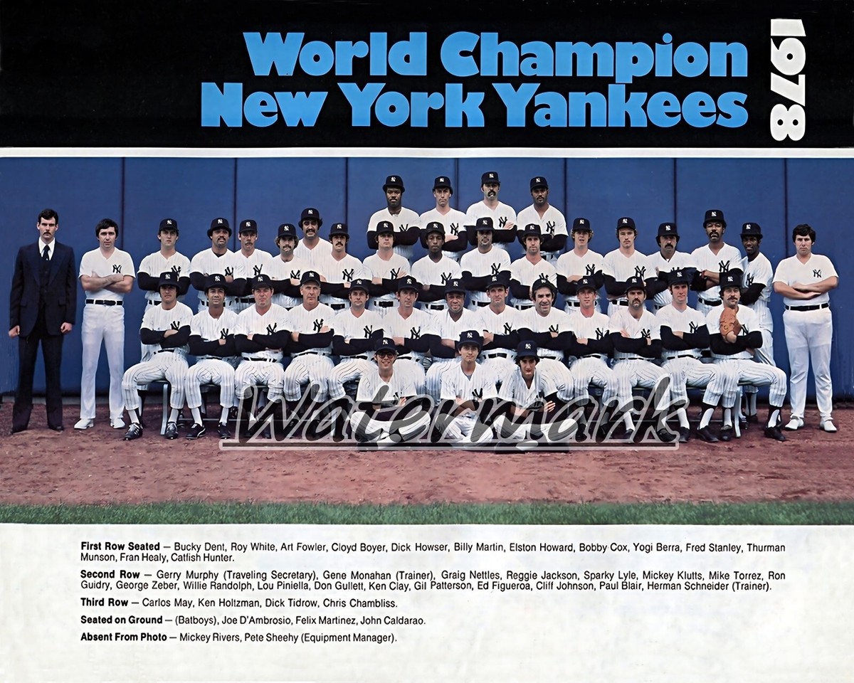 MLB 1978 New York Yankees World Champions Team Picture 8 X
