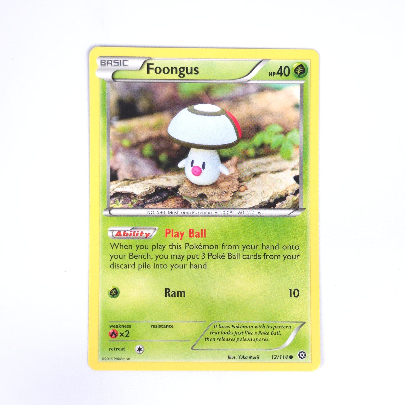 Foongus 12/114 Pokemon XY - Steam Siege NM