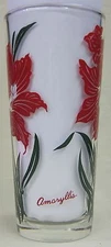 Amaryllis Iced Tea Peanut Butter Glass Glasses Drinking Kitchen Mauzy 108-1