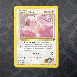 Koga Ditto | eBay