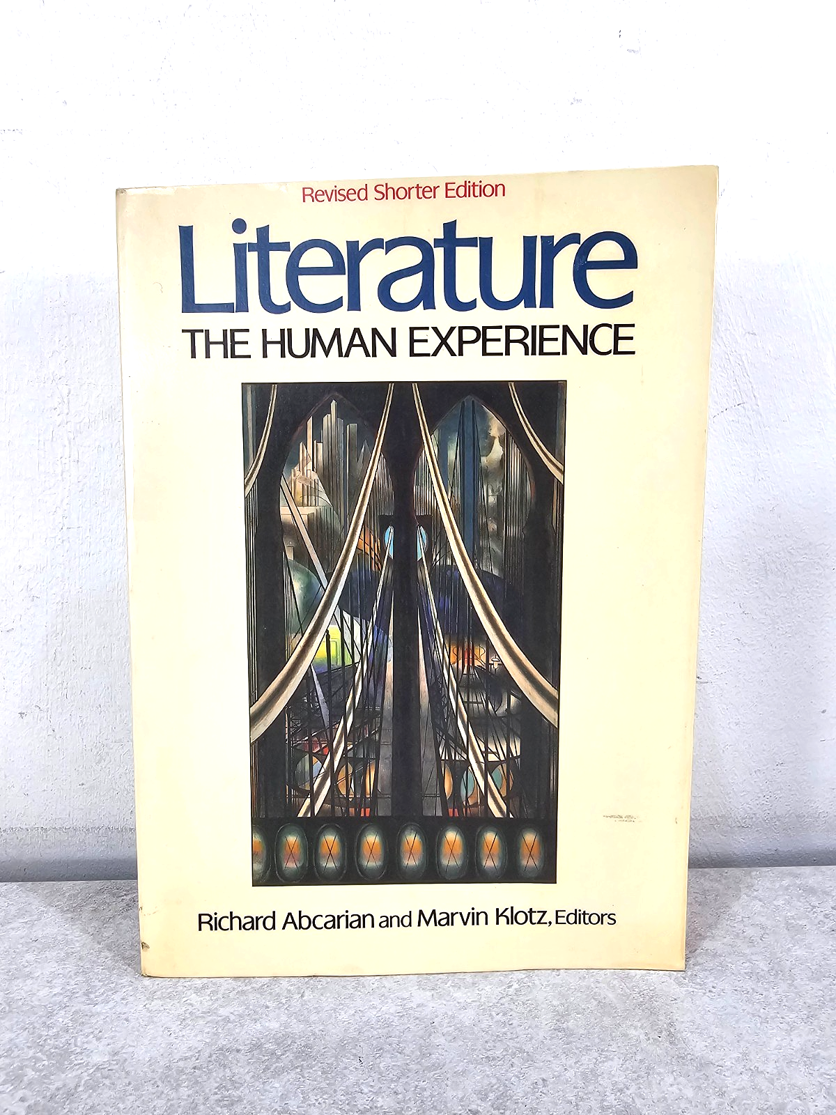 Literature -The Human Experience Paperback Book