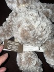 Small Giving Bear Love Plush Demdaco Loveable Huggable Always in my Heart 8.5 — photo 6