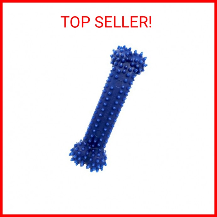 Nylabone Textured Dental Bone Flexi Chew Toy for Dogs, Dog Toys for Moderate Che