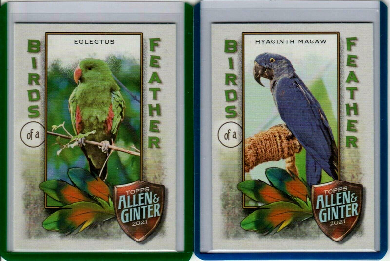 2021 Topps Allen & Ginter Birds of a Feather BOF-1 Eclectus BOF-6 Hyacinth Macaw
