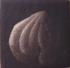 Original Engraving Signed Yozo Hamaguchi Minami Mezzotint Pumpkin 1968 RARE