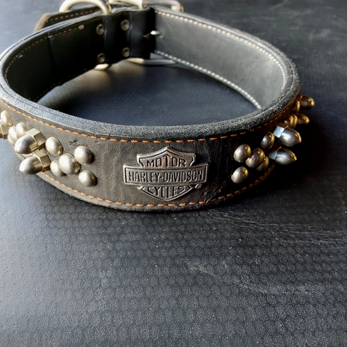 Harley Davidson Black Leather Studded 24“Pet Collar - Picture 8 of 9