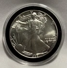 1988 American Silver Eagle 1 oz .999 Fine Silver $1 BU Coin in Capsule