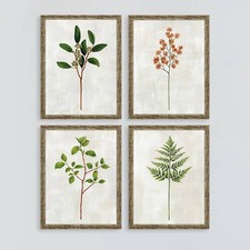 Botanical I 17" High 4-Piece Giclee Framed Wall Art Set