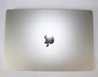 Apple MacBook Air A2941 LCD Screen Display Assembly Starlight