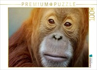 Calvendo Puzzle Portrait Of An Orangutan | 1000 Pieces, Finished Size 25.2 × 18.