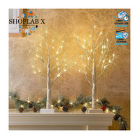Lichterbaum 2Er Set Dekozweige Batteriebetrieb 24 Warmweiß Leds 60Cm