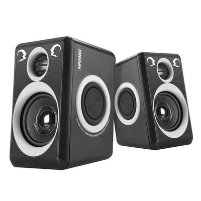 RECCAZR Computer Speakers with Surround Sound 2.0CH USB small, Black & Gray 