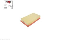 Automega Luftfilter 180016110 Filtereinsatz FüR Focus Ford DNW DBW DAW Transit 1
