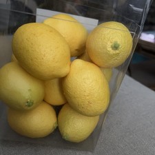 Lot Of 12 Plastic Lemon Fruit Bowl Filler